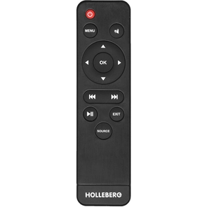 Пульт HOLLEBERG JXD-1299 оригинальный